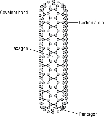 A carbon nanotube with closed ends.