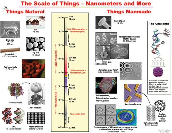 Size-comparison-Bio-nanoparticles nanometer scale comparison